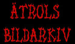 _trolsbildarkiv.jpg (11803 bytes)